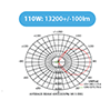 Light Distribution (110W LTCA)