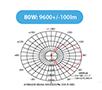 Light Distribution (80W LTCA)
